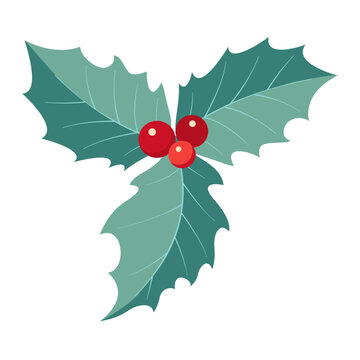 Christmas holly berry leaves. Christmas symbol vector illustration.
