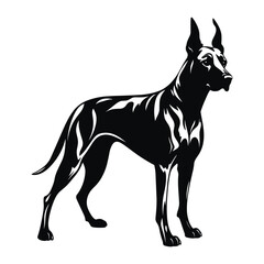 Great Dane Dog standing still, black vector design against white background. 