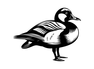 Duck bird standing an resting, black vector design against white background - obrazy, fototapety, plakaty