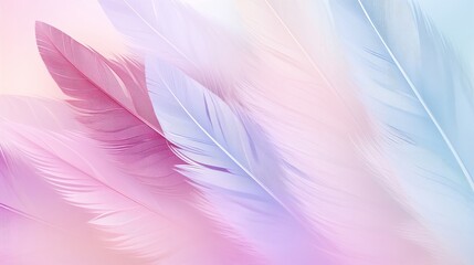 Fototapeta na wymiar A Close up of a Pink and Blue Background With Feathers