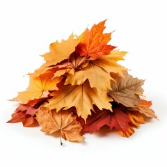 Naklejka na ściany i meble Autumn Maple Leaves Pile Isolated on White. Generative ai