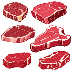 Set of fresh meat. Different parts of animal meat beef and pork. Steaks vector illustration.