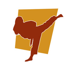 Silhouette of a woman doing a martial art kick. Silhouette of a sporty female doing kicking movement.