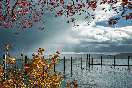 Herbstliche Farben und dramatische Wetterstimmung über dem Bodensee in Radolfzell
