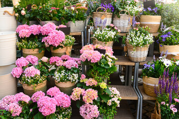 Fototapeta na wymiar Baskets with beautiful flowers on street market