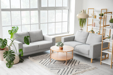 Interior of light living room with grey sofas, coffee table, houseplants and big window - obrazy, fototapety, plakaty