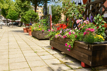Flowers in pots on terrace of street cafe