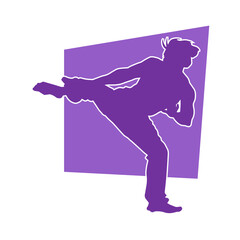 Silhouette of a male model doing martial art kick pose. Silhouette of a martial art kicking pose.