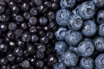 Ripe bilberries and blueberries as background, top view