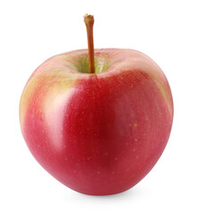 One ripe red apple isolated on white