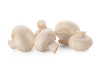 Fototapeta na wymiar Fresh mushrooms isolated on white background