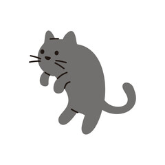 Cat Cartoon Illustration