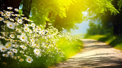 Foto op Plexiglas Beautiful wildflowers along a country path © Doraway