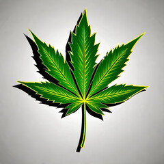 Isolated cannabis leaf on white and grey background
