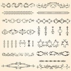 flourish vignette scroll victorian curl nostalgia swirl typographic certificate calligraphic - obrazy, fototapety, plakaty