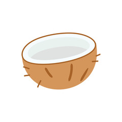 Coconut Illustration Vector