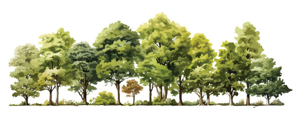 Tree line, water color effect in trees, vector, eps,	
