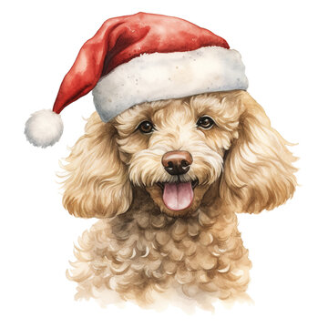 Poodle Dog Wearing a Santa Hat. AI generated image