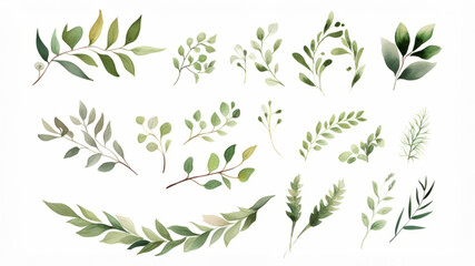 Fototapeta premium Set of floral watercolor logo elements. Wreath borders dividers, frame corners and minimalist flowers branch. Hand drawn line wedding herb, elegant leaves for invitation save the date card. Botanical.