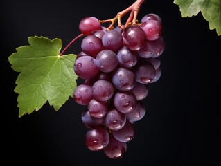 Fototapeta premium Grapes of Fall: A Bunch of Juicy Red Grapes on the Black Background, Showcasing the Rich Harvest and Winemaking Traditions of the Season.