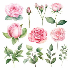 Fototapeta premium invitation petal rose watercolor wedding paint romantic artistic greeting elegant wallpaper 