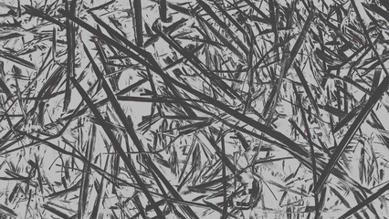 Obraz premium black and white background