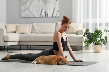 Beautiful woman with cute red cat practicing yoga on mat at home - obrazy, fototapety, plakaty