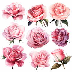 victorian invitation petal rose watercolor wedding label romantic birthday greeting elegant 