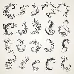 Fotobehang flourish vignette scroll victorian curl swirl tattoo certificate calligraphic ornamental  © shabanashoukat49