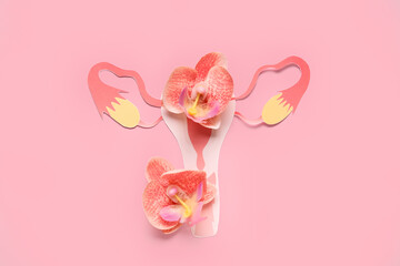 Paper uterus and orchid flowers on pink background