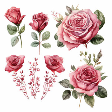 invitation painting petal rose watercolor wedding romantic birthday border greeting elegant 