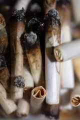 Lots of smoking joints tips in transparent glass macro Medical cannabis cretan super lemon haze close up background and wallpapers in super fine high quality instant stock photography printings