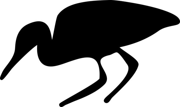 Egret bird graphic shape element design vector