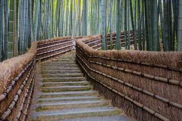A Bamboo Grove at Adashino Nenbutsuji Temple in Kyoto, Japan - 688893947