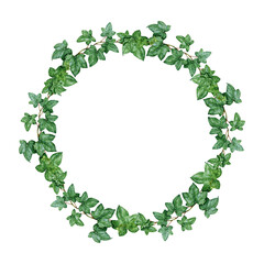 Ivy leaves round wreath watercolor illustration. Hand drawn hedera twig decorative wreath. Evergreen garden plant botanical ornament. Ivy lush round decor frame. Isolated on white background
