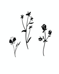 Decoration element object name save frame green documents rose drawing flower