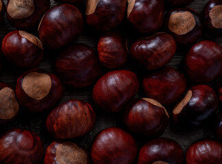 Chestnut on Wooden Rustic Surface. Template for Wallpaper or Background.