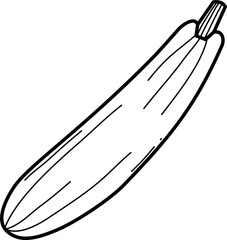 Zucchini Vegetable Doodle Vector Illustration