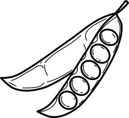 Green Peas Vegetable Doodle Vector Illustration