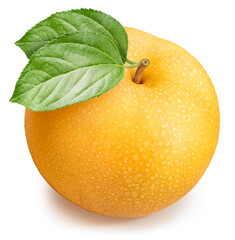 Snow pear or Nashi pears isolated on white background, Korea pear, Shingo pear  fresh fruit on white background With clipping path.