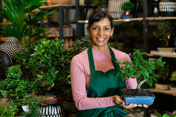 Cheerful latino american saleswoman in uniform posing with small bonsai tree at flower shop