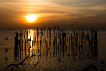 Seascape sunset at the beach