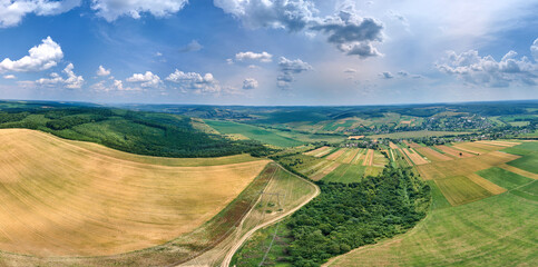 Aerial landscape view of yellow cultivated agricultural fields with ripe wheat and green woods on bright summer day