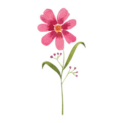 Watercolor Pink Flower Graphic ELement