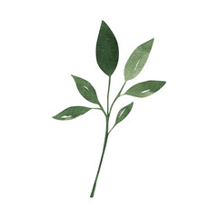 Obraz premium Green Leaf Textured Graphic Element