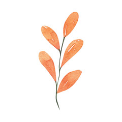 Orange Autumn Leaves Textured Graphic Element