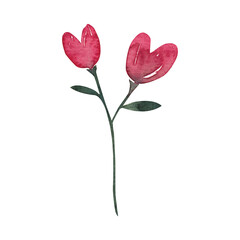 Aesthetic Pink Rose Flower Graphic Template