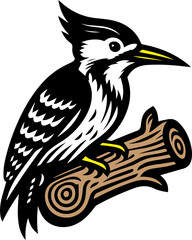 a hand-drawn illustration
