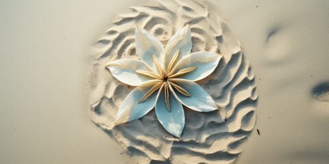 Sand flower On The Beach top view.