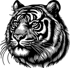 a hand-drawn illustration
